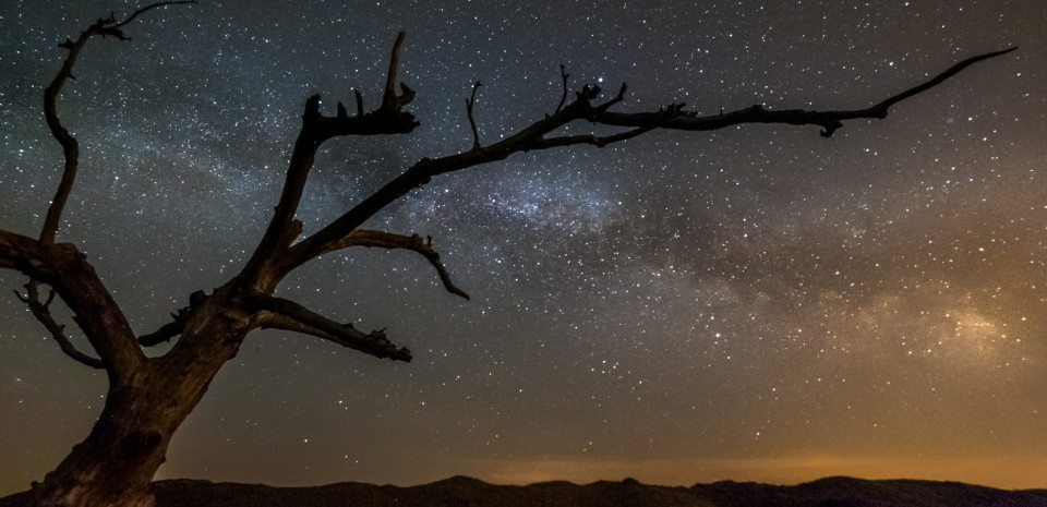 Dark SKy Park Lauwersmeer, courtesy Rutger Bus