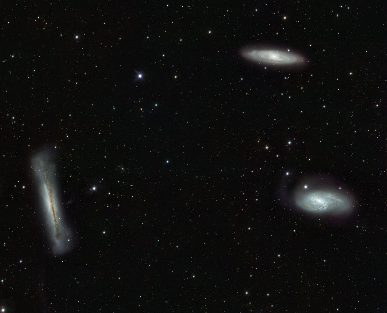 Leo
                Triplet